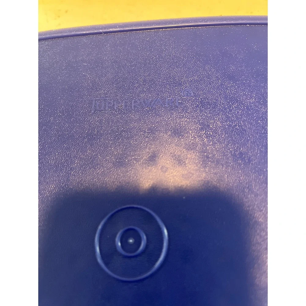Tupperware Season Serve Marinating Container Blue Square Large Meat Marinater